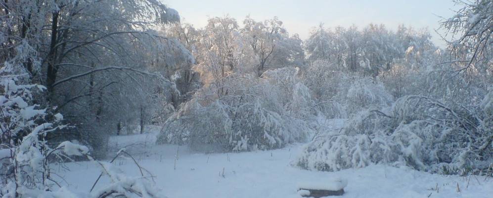 Фотография Зюзино