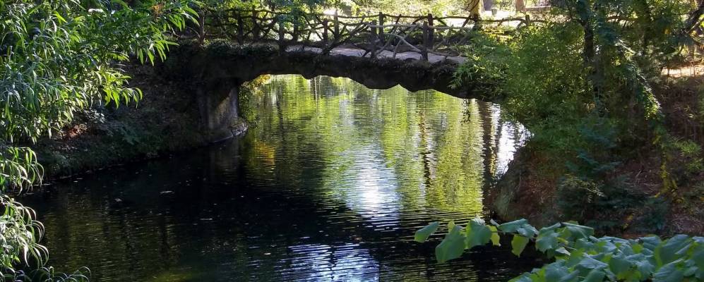 
            Фотография Жереша