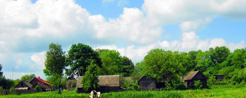 
            Фотография Бацевичей