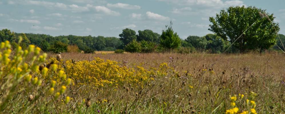 
            Фотография Литвиненки