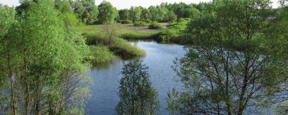 
            Фотография Старой Мусиевки