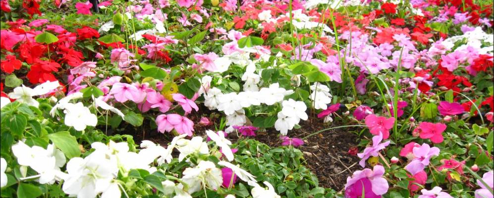 
            Фотография Можи-дас-Крузис