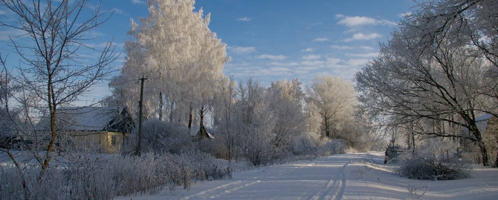 
            Фотография Оловянниково