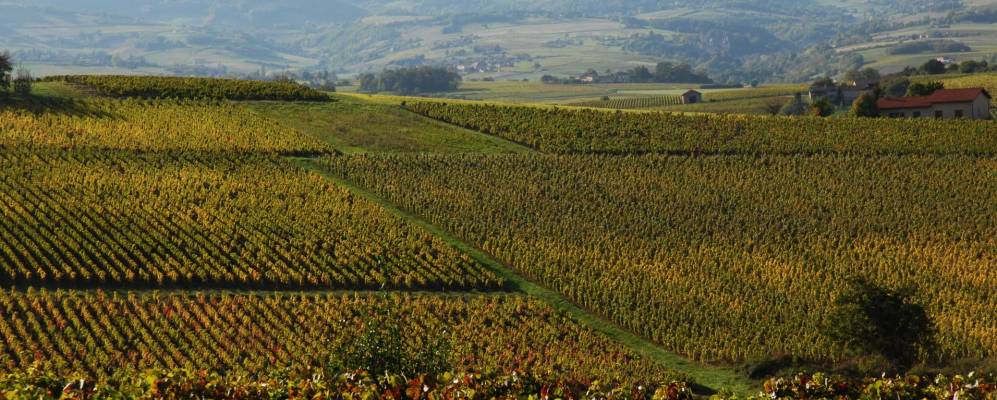 
            Фотография Помьеа