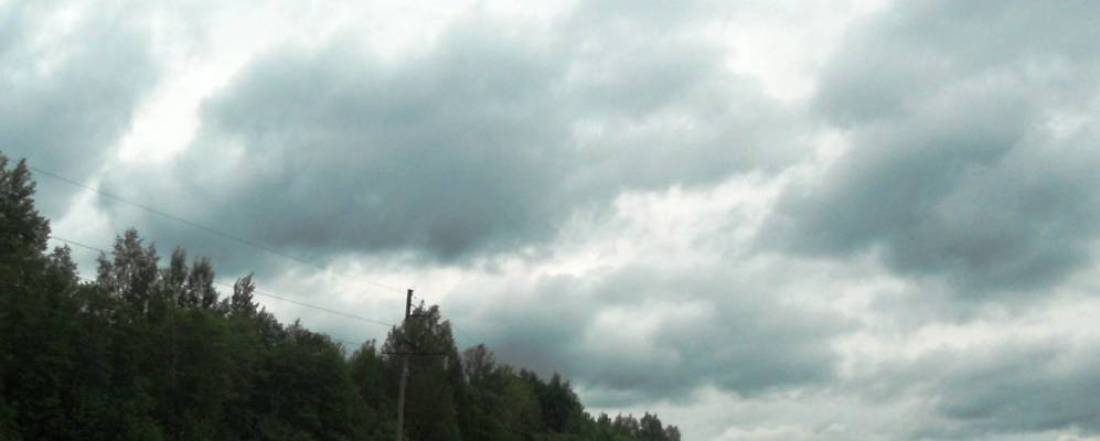 
            Фотография деревни Шарки