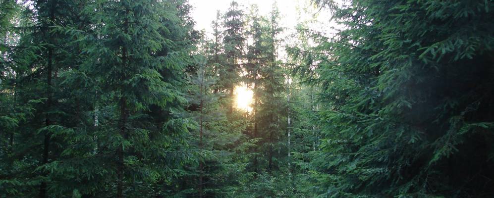 Фотография Лихачёвщины