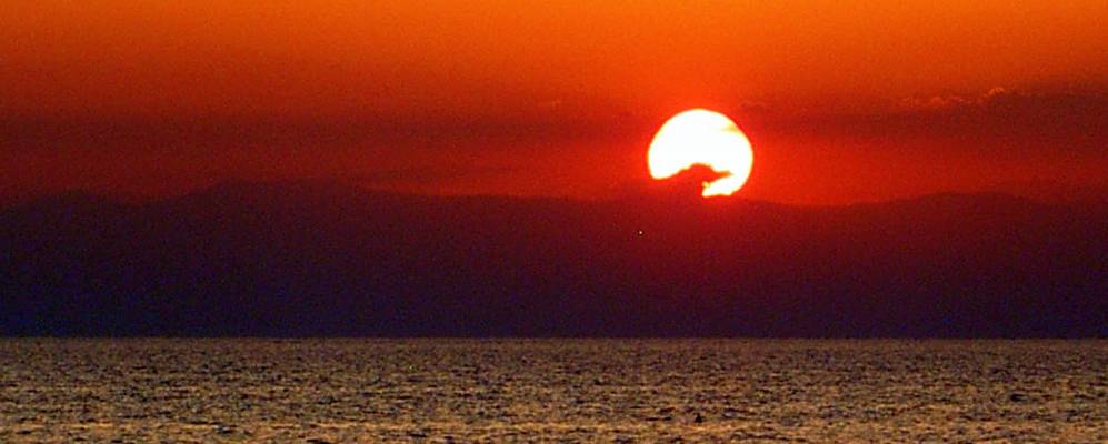 Фотография Сани Бич