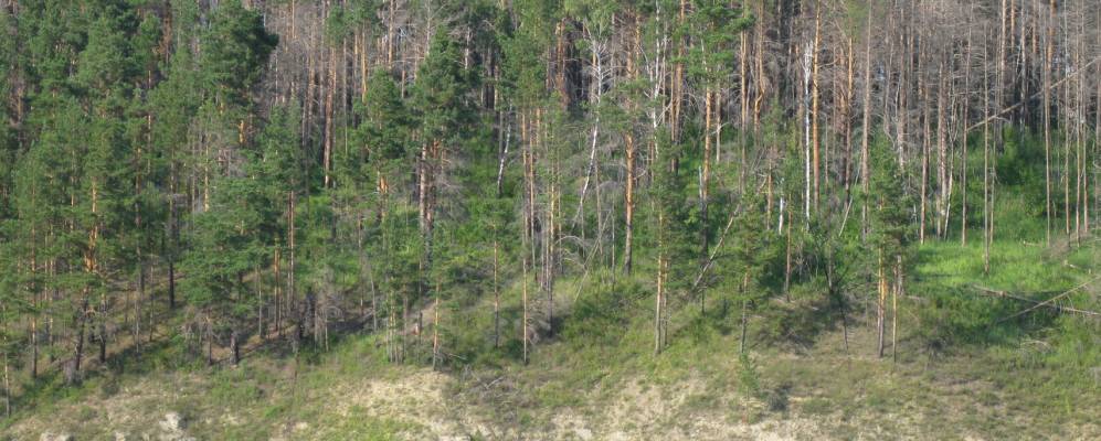 Фотография Гымыля