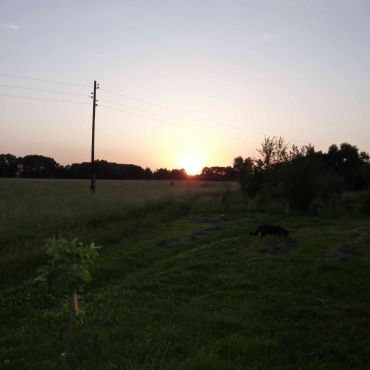 Кривчиково