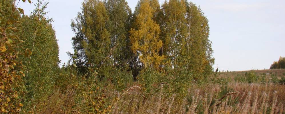 Фотография Мыльников