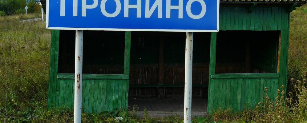 
            Фотография Пронино