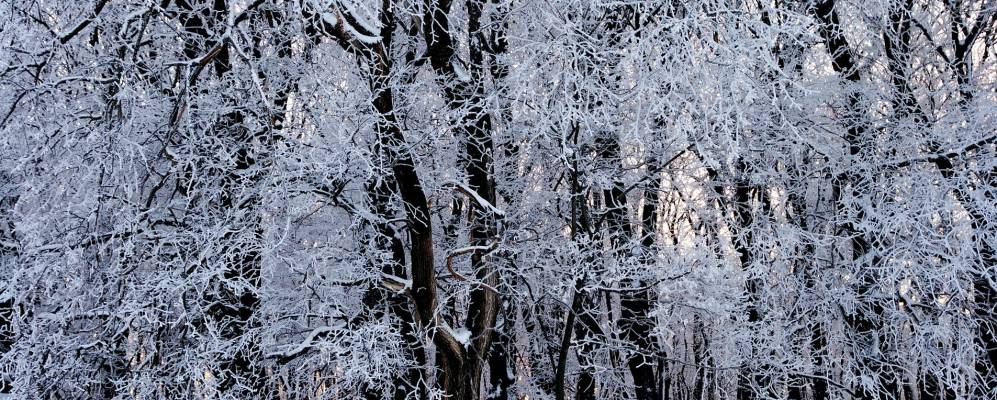 
            Фотография Попова