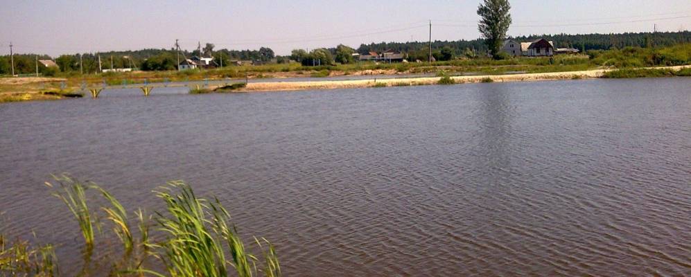 
            Фотография Лесового