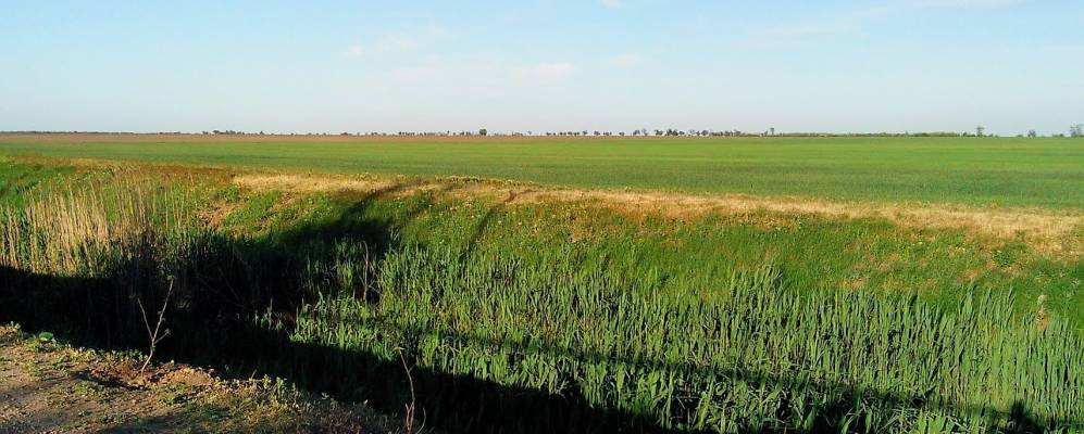 
            Фотография Новой Жизни