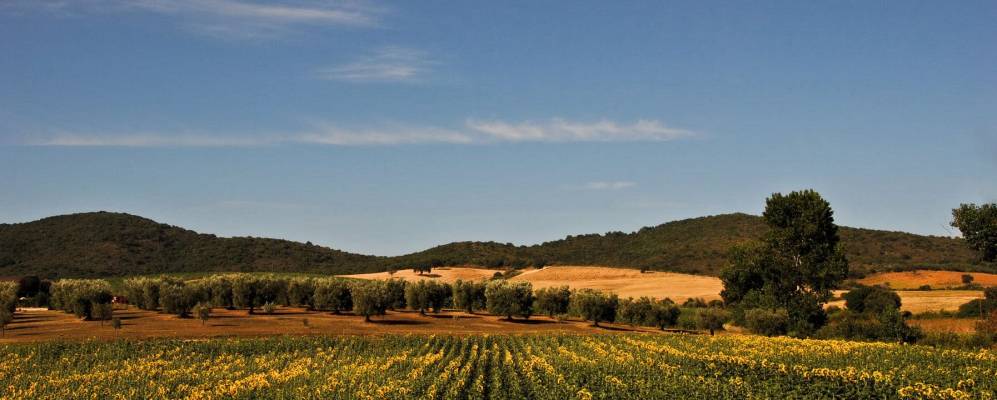 Фотография Сан-Донато