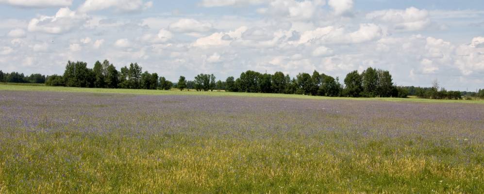 
            Фотография Жашково