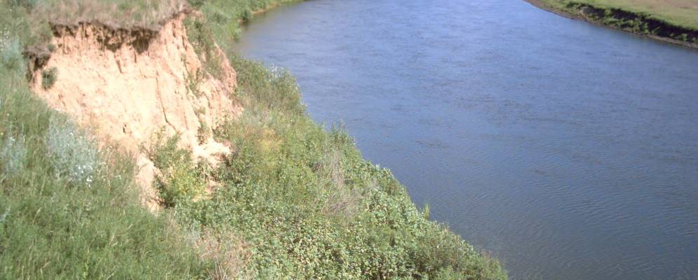 
            Фотография Спицыно