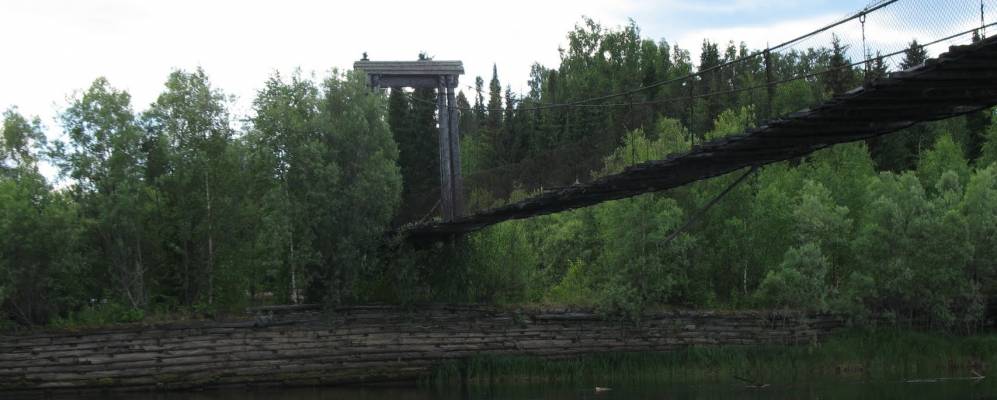 
            Фотография Шипичного