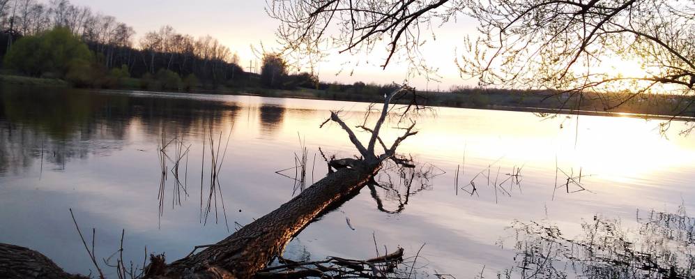 
            Фотография Варварино