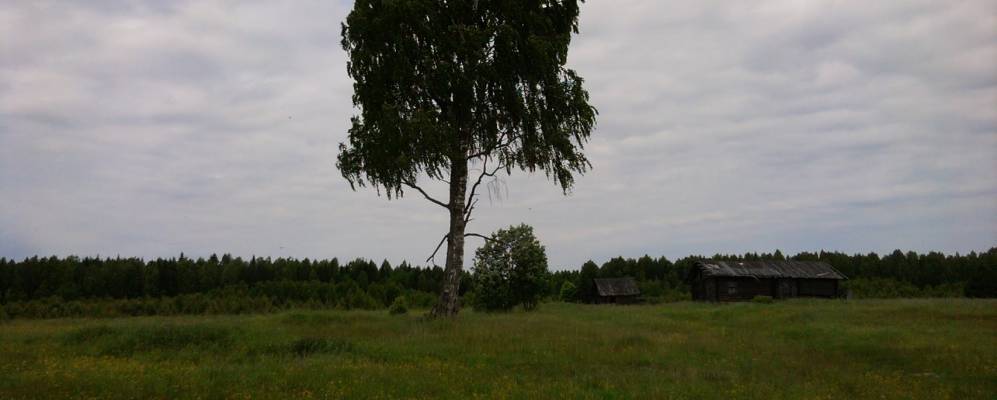 
            Фотография Улы