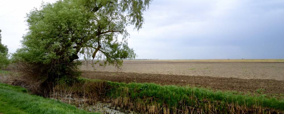 
            Фотография Крупского