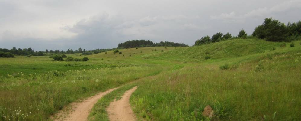 
            Фотография Китово