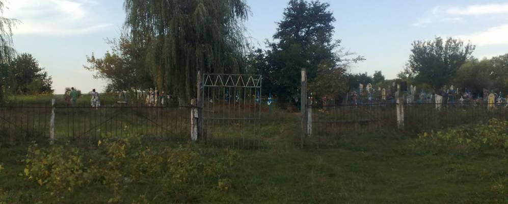 
            Фотография Великой Василевки