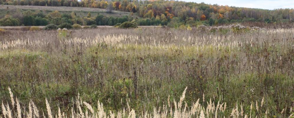 Фотография Бабенки