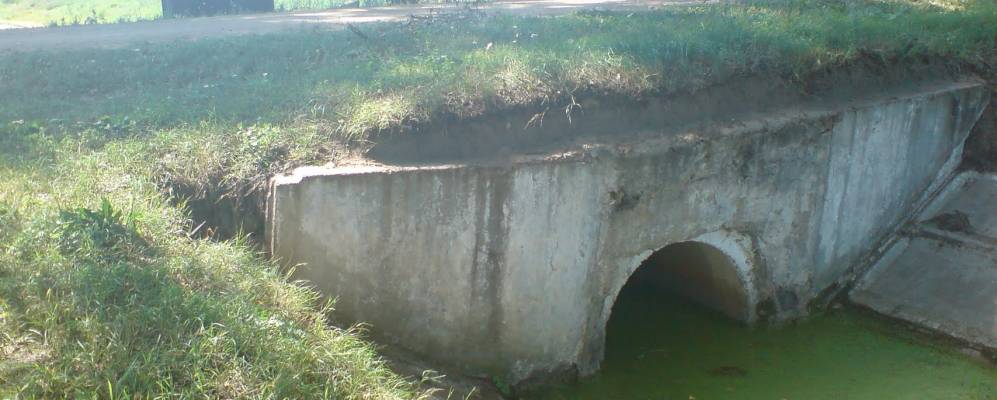 
            Фотография Пружанки