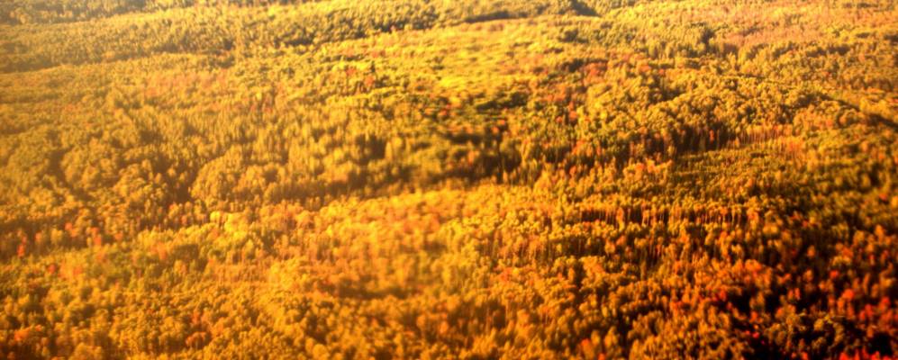 
            Фотография Аркашево