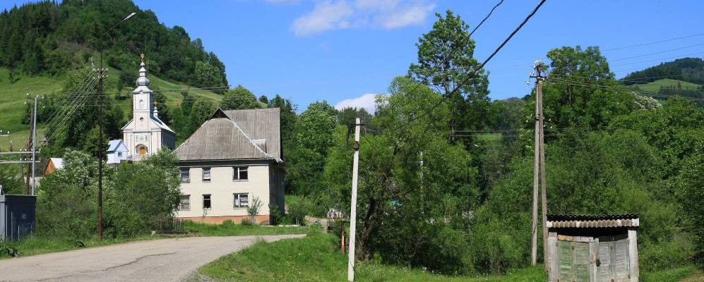 
            Фотография Скотарского