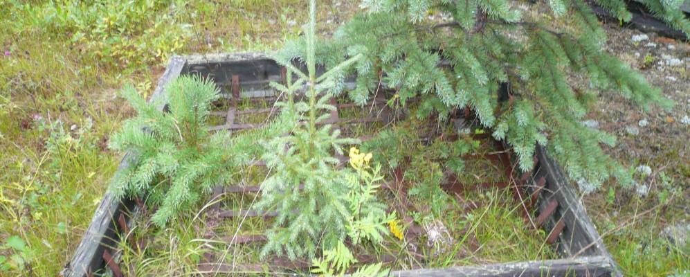 
            Фотография Тохты