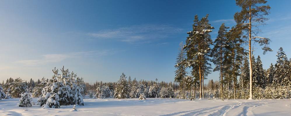 
            Фотография Кравцово