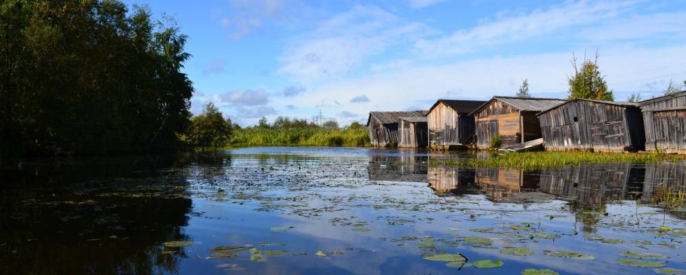 
            Фотография Гаврино