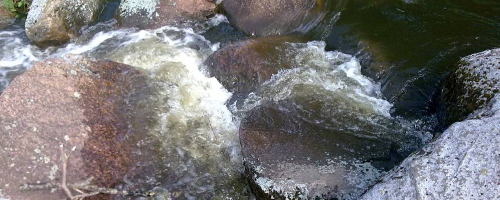 
            Фотография деревни Дрозды