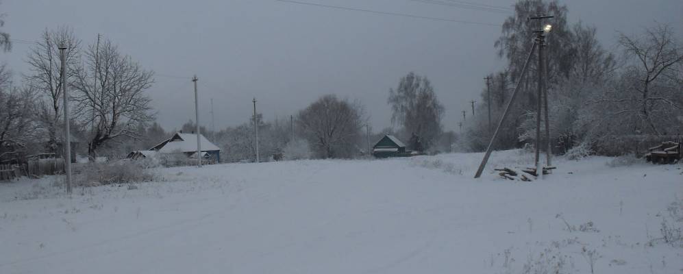 
            Фотография Сытного