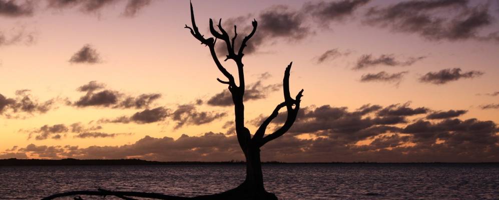 
            Фотография Острова Харбор