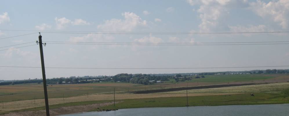 
            Фотография Пилешкасов