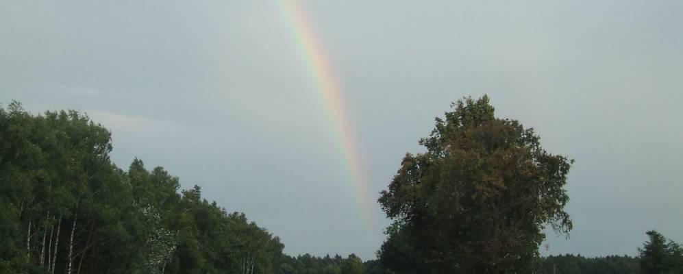 
            Фотография Трембки