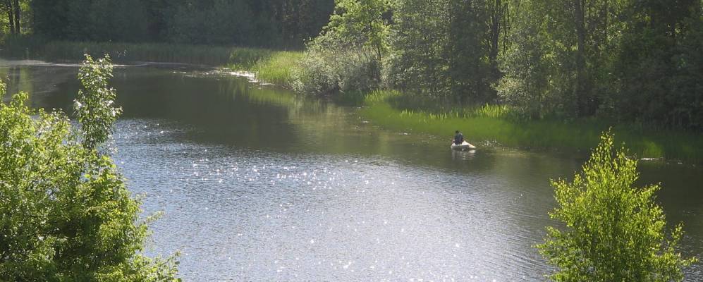 
            Фотография Заречья