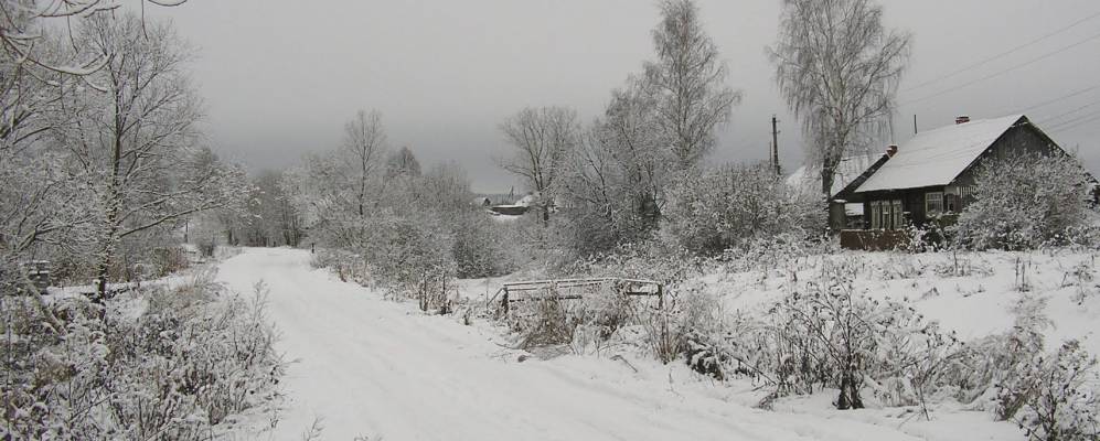 
            Фотография Алексеевского