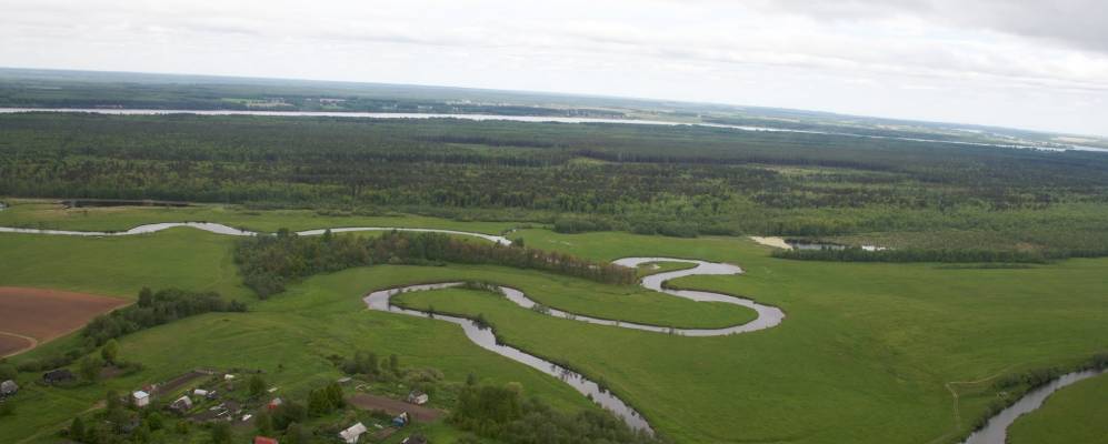 Фотография Новосельского