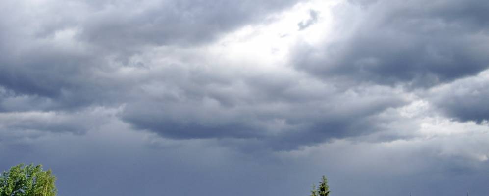 
            Фотография Чащи