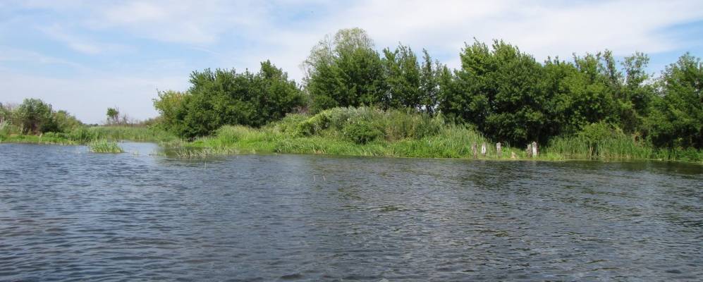 Фотография Новоселок