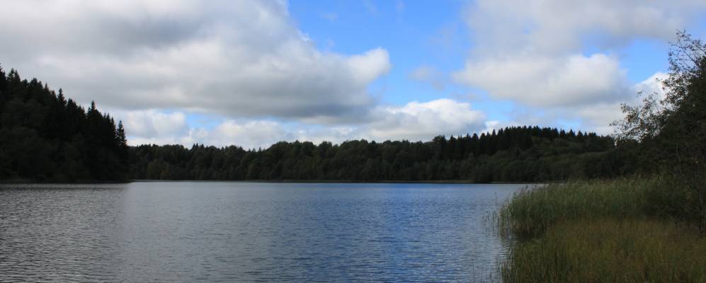 
            Фотография деревни Головни