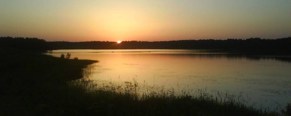 
            Фотография Темной