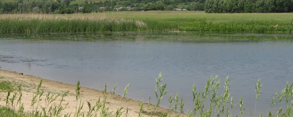 
            Фотография Курочкино