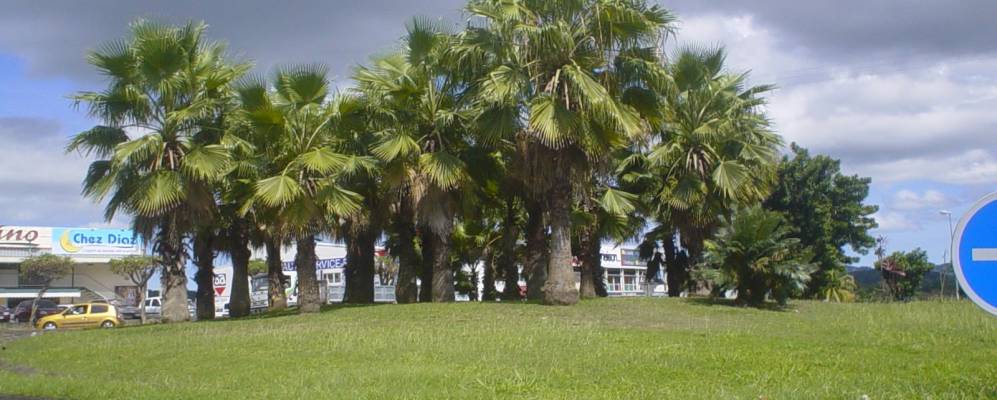 
            Фотография Дюко