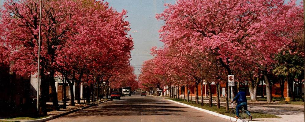 
            Фотография Реконквисты