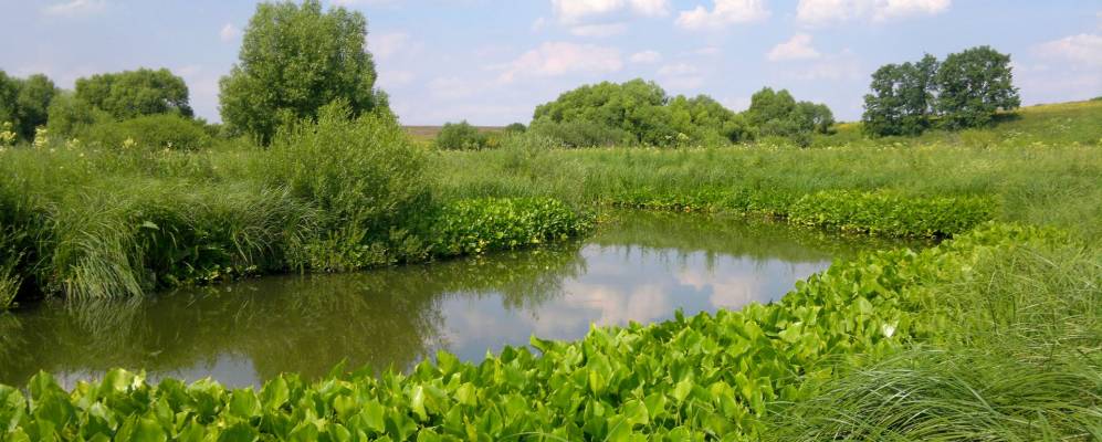 
            Фотография Каменной Плотины